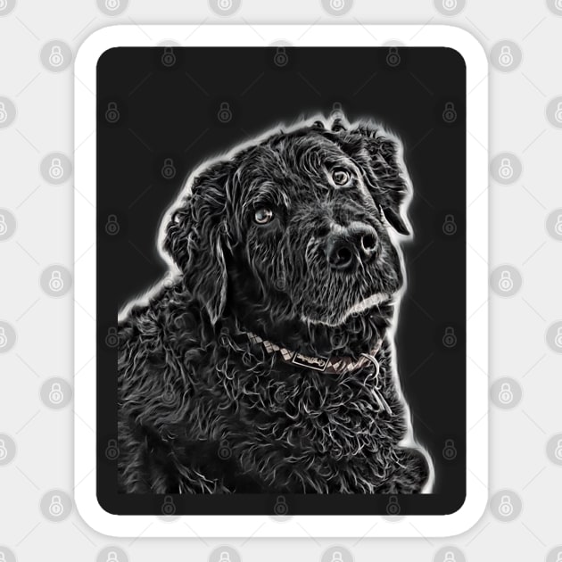 Black shaggy dog cheap